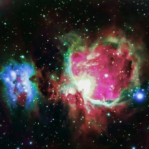 Meet your Posher, Brooklynn